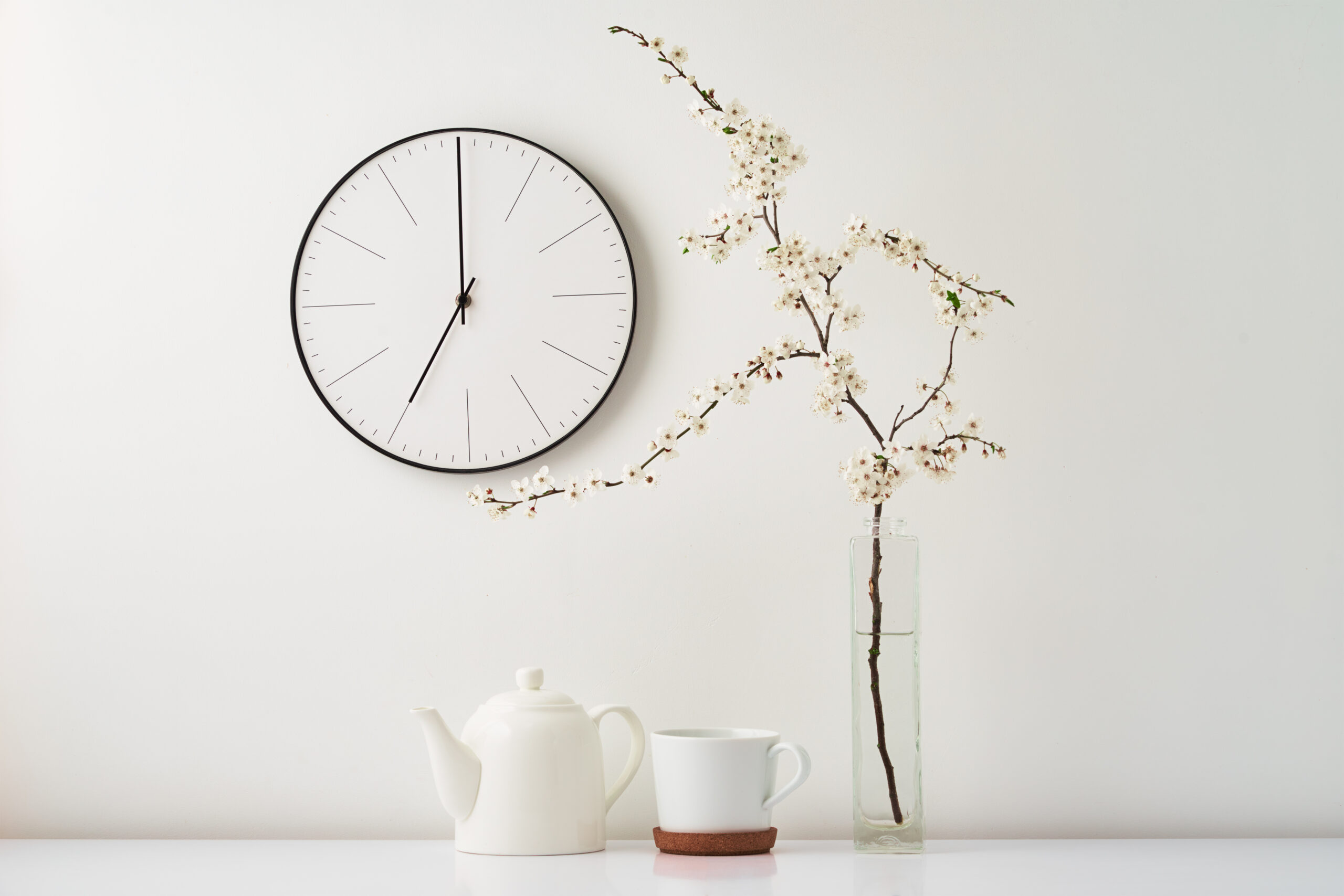 Wall clock, blooming cherry branch and tea cup on white background, front view. Interior decoration. Tea time